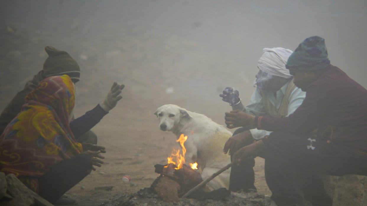 Weather Forecast Today: IMD Alert for Cold Wave in North India Know Delhi, UP and Bihar Aaj Ka Mausam News