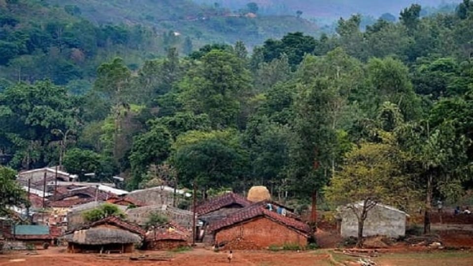 Eviction drive to clear forest land underway in Assam Lakhimpur