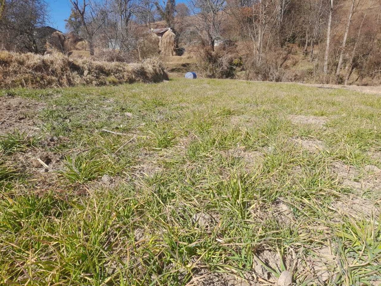 Not a single drop of rain in Champawat for 40 days, fear of drought