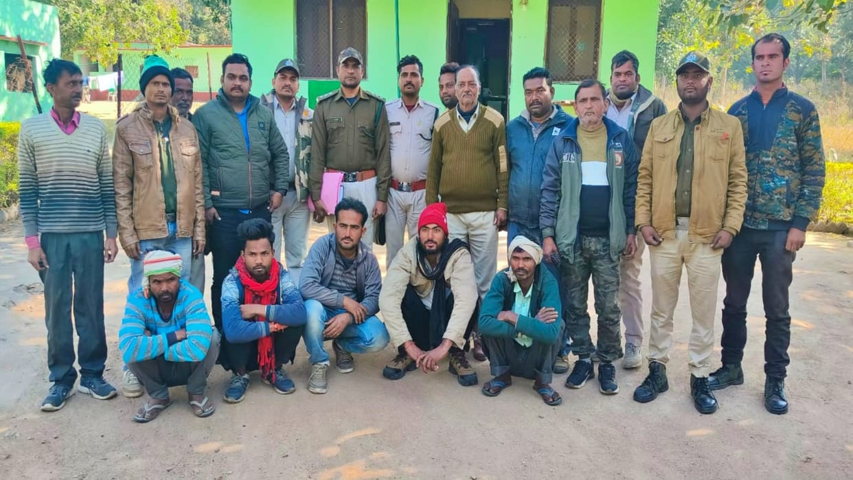 Chhatarpur Tiger-tigress death case in Panna Tiger Reserve Five accused arrested for laying current
