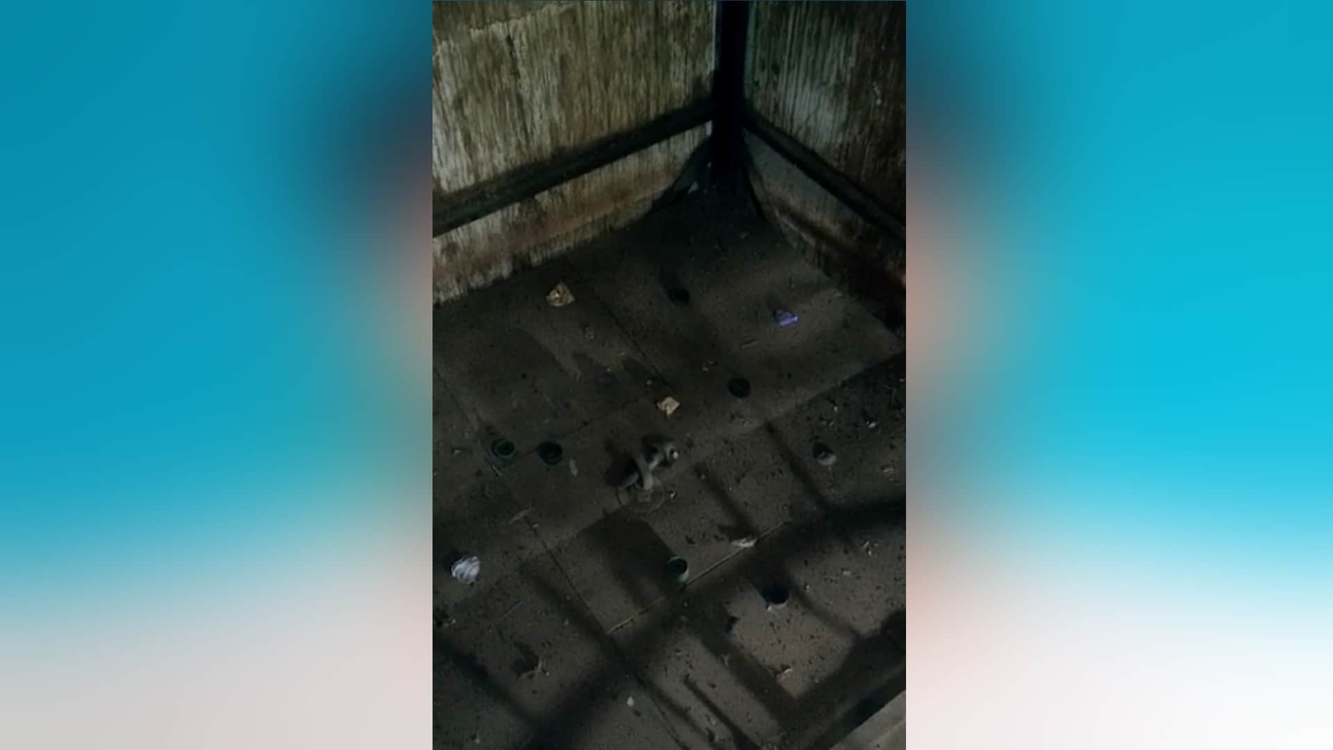 Delhi Lift Incident: Loud explosion as soon as lift fell employees working on contract