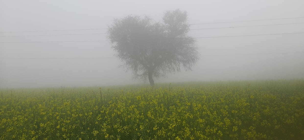 Weather: Strong sunshine in the afternoon, severe cold in the morning and evening, temperature reached 3.8 degrees, strong sunshine in the afternoon