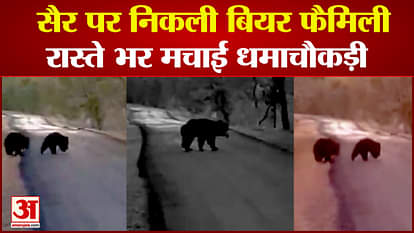 Bear family went on a walk created a ruckus on the way video going viral on social media