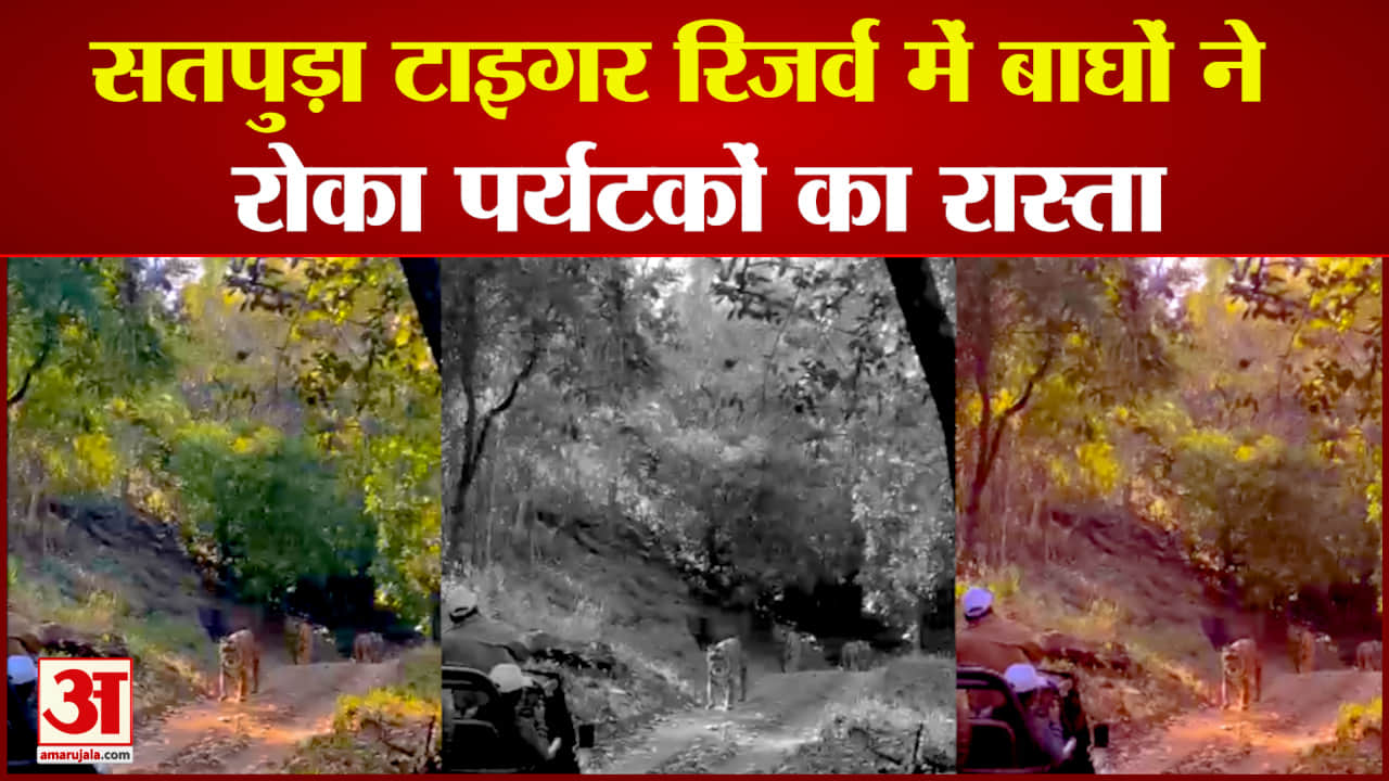 सतपुड़ा टाइगर रिजर्व