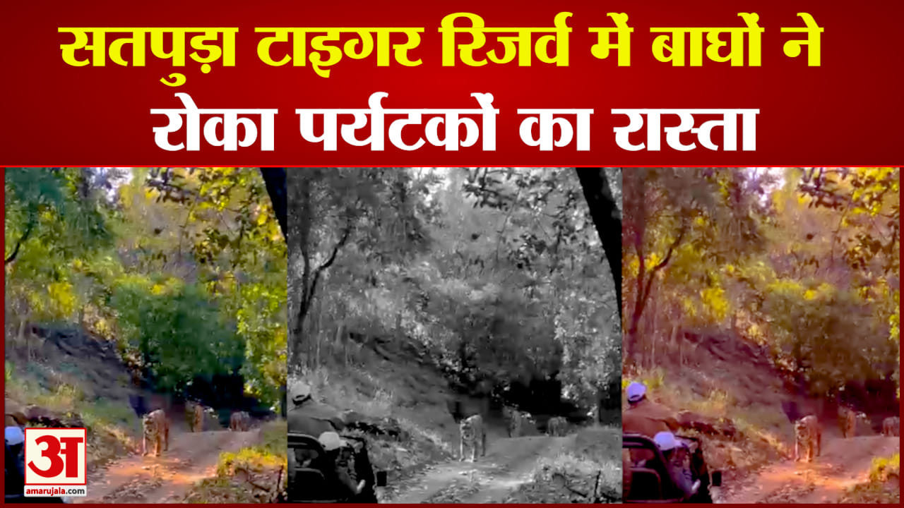 सतपुड़ा टाइगर रिजर्व