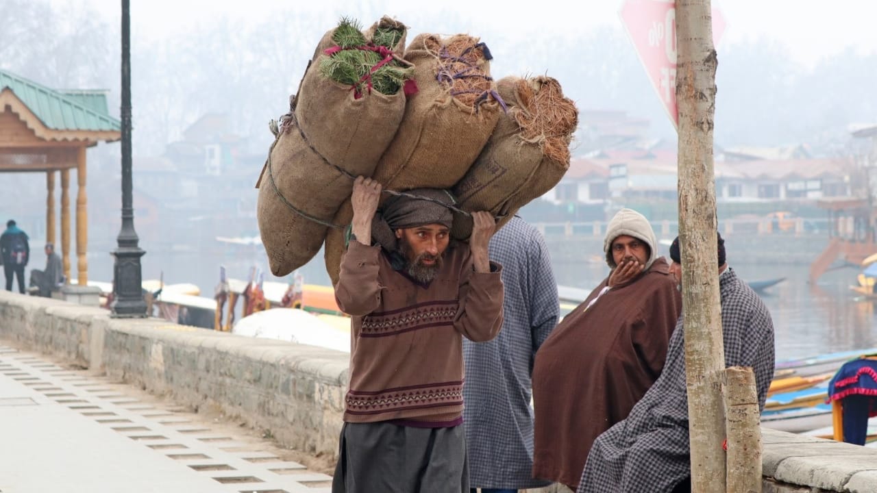 J&K Weather: Fog in the plains cold winds after snowfall in heights Kashmir buzzes with the movement of touris