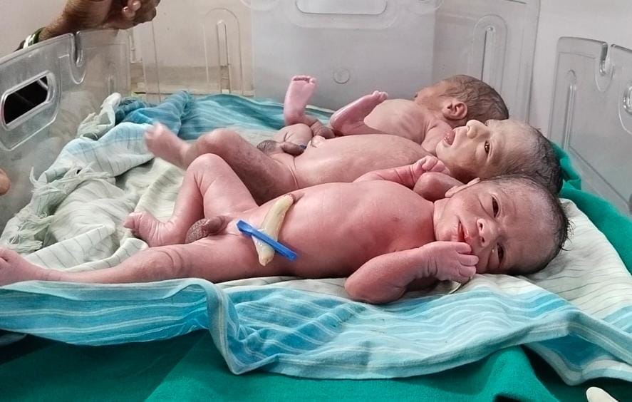 Three children together from normal delivery!: Mother and child are completely fit in Ara Sadar Hospital