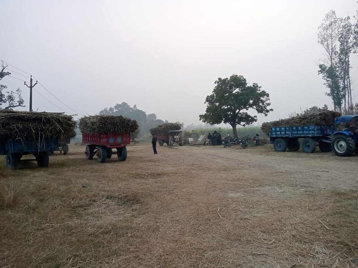 No arrangement for bonfire at sugarcane purchasing centers
