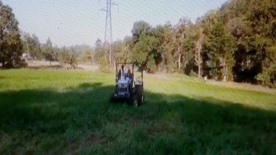 Tehsildar himself drove tractor and freed three acre govt land in Betul