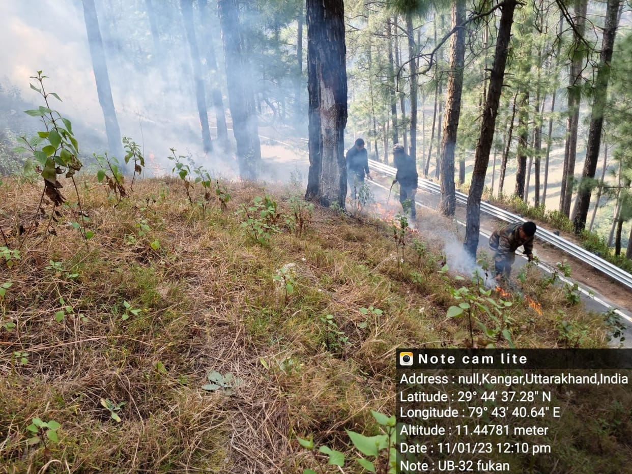 Control Burning at Bageshwar