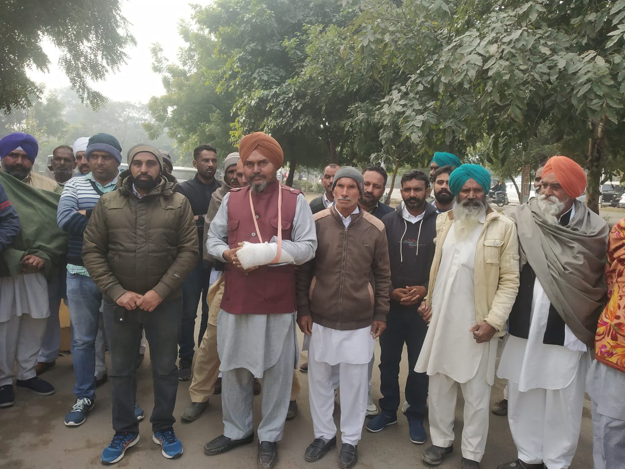 Farmers of seven villages are troubled by the destitute animals: demand letter submitted to the Deputy Commissioner, said - it is difficult to guard the field, even to apply water far away