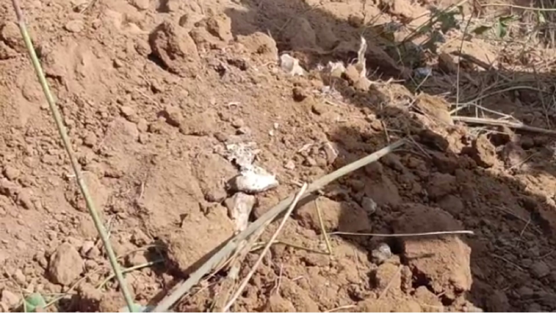 dead body buried after killing girlfriend in chhattisgarh korba