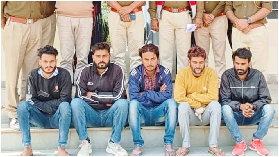 Dausa police arrested five accused of robbery Jivraj murder case in Rajasthan