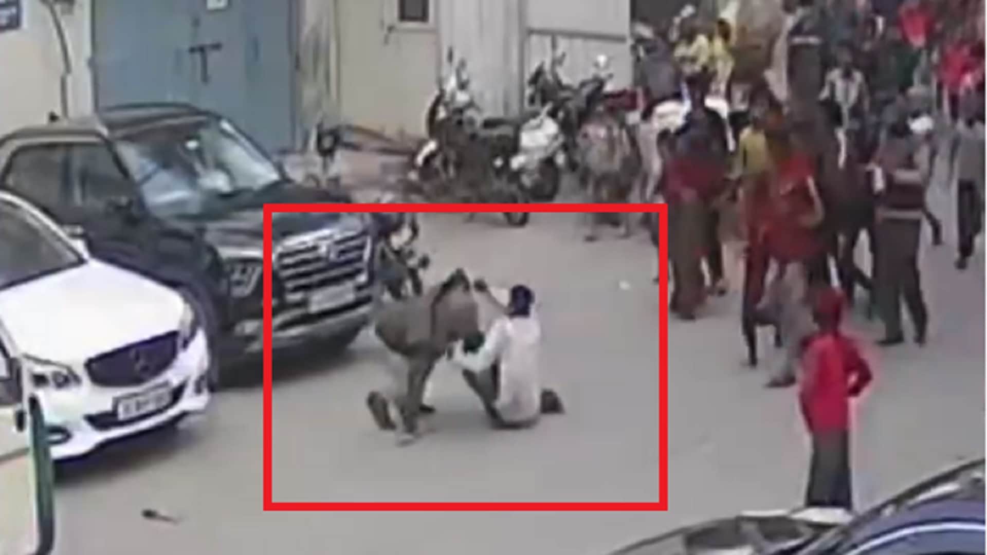 Delhi ASI Murder Video: Delhi Police ASI Was Stabbed with Knife More Than 12 Times By Miscreants