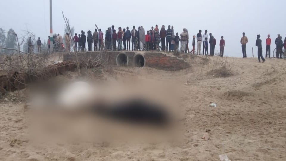 Four cattle died due to electrocution in shahjahanpur