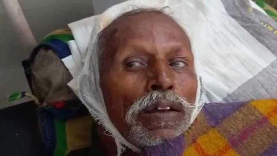 Nilgai problem increased in MP, old farmer attacked in Chhatarpur