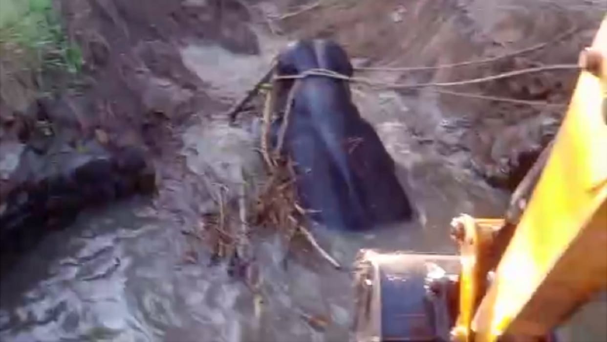 chhattisgarh forest team saved baby elephant that fell in well in jashpur