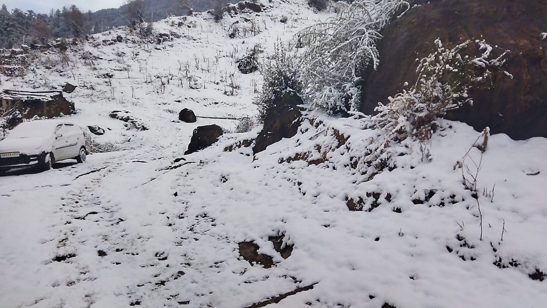 Uttarakhand weather News Season first snowfall in Auli snowfall in Badrinath Kedarnath Hemkund Yamunotri