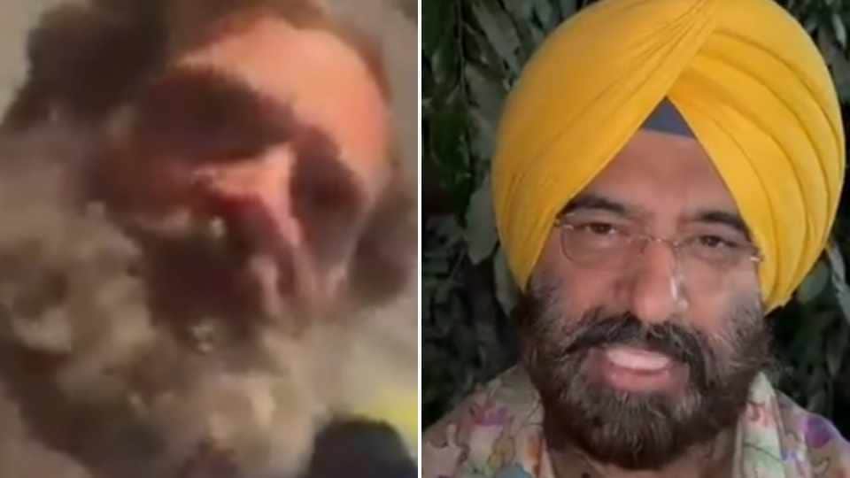 BJP shares a video of Rahul Gandhi refusing to wear turban in Punjab