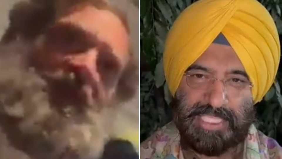 BJP shares a video of Rahul Gandhi refusing to wear turban in Punjab