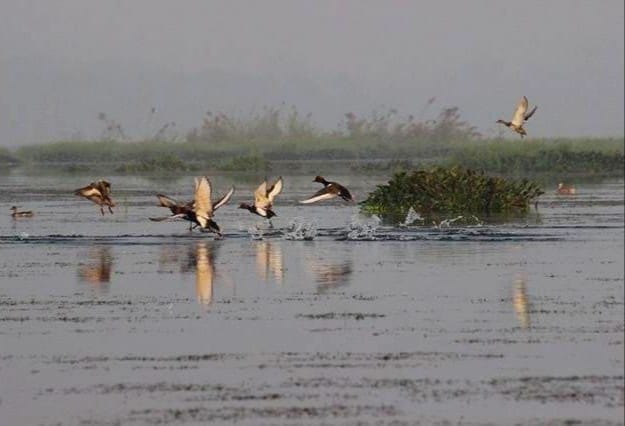 Bakhira lake will be developed to attract tourists