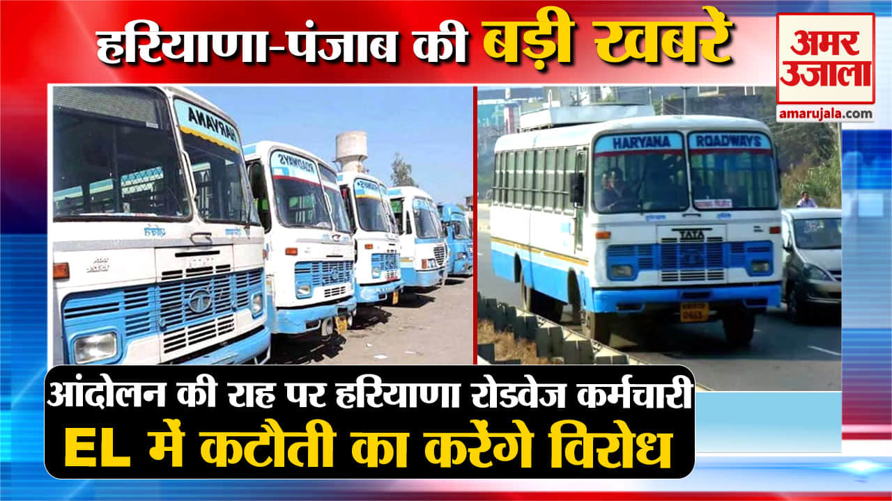 हरियाणा न्यूज