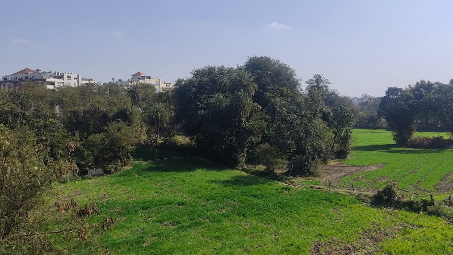 Illegal construction being done in 200 meters on the banks of Kshipra river in Ujjain