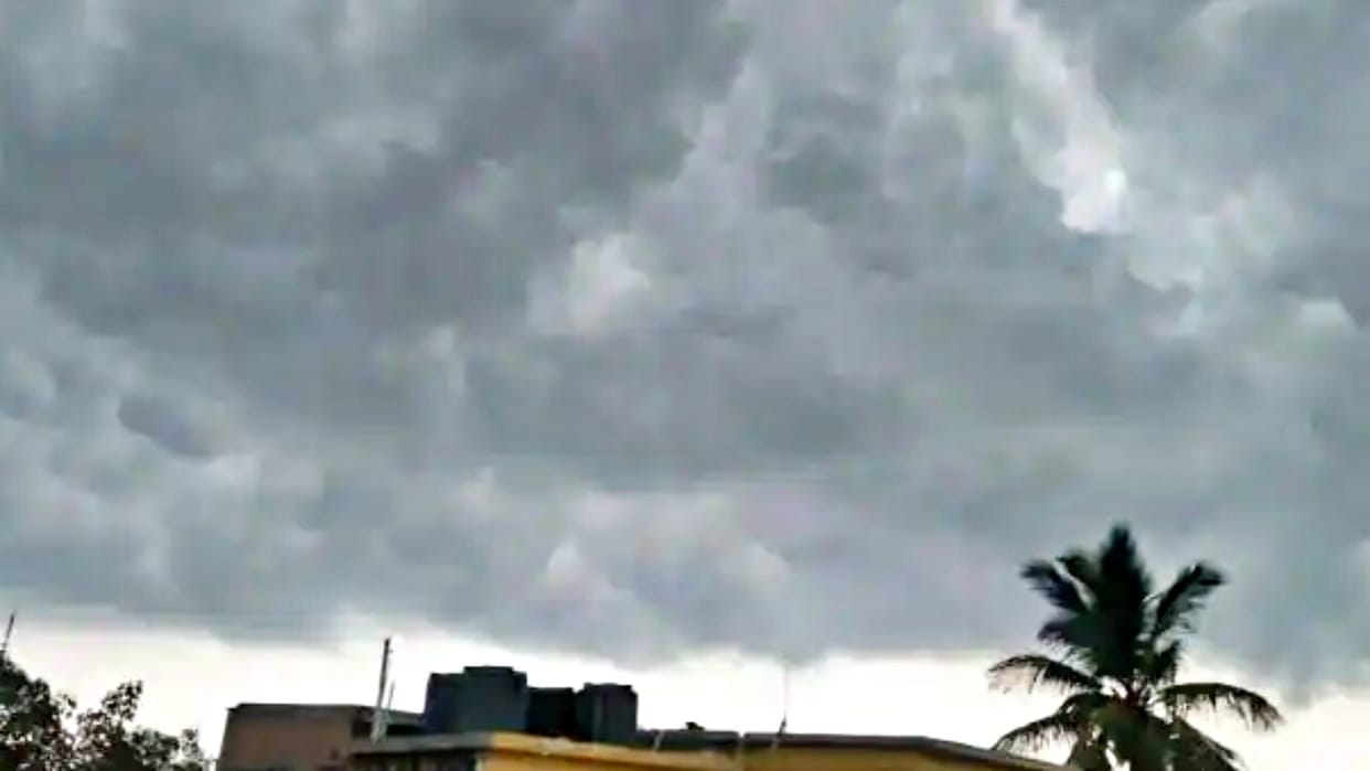 Rajasthan Weather Update And Cold Wave Alert 12 January 2023