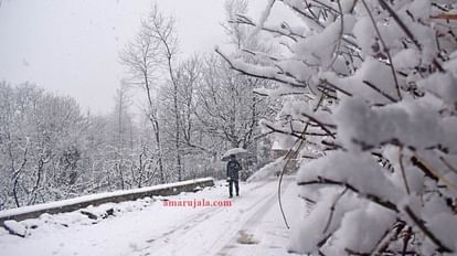 Snowfall in Srinagar file pic