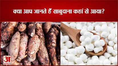 Do you know where Sabudana came from?