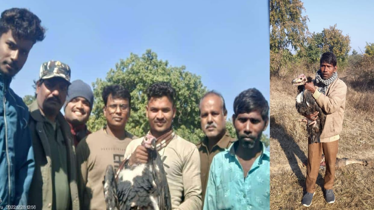 Photos were taken holding Jatayu neck by forest worker