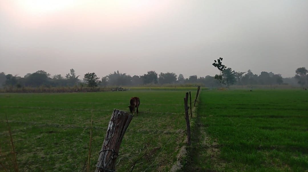 weather,gonda