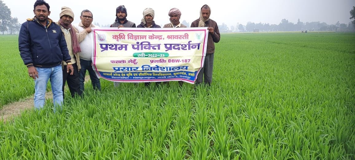 Stop weeds in the fields, spray the medicine