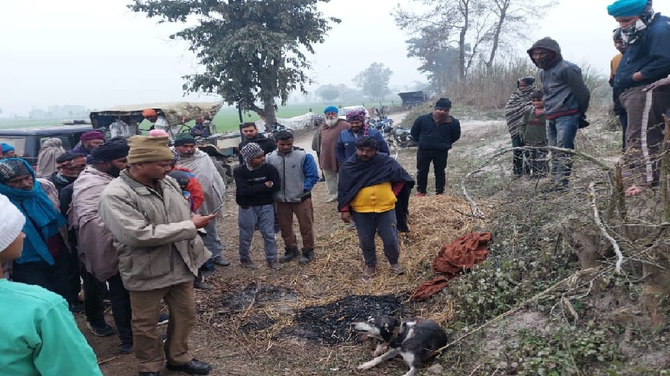 Bareilly IVRI doctors refused to operate the injured dog In Pilibhit