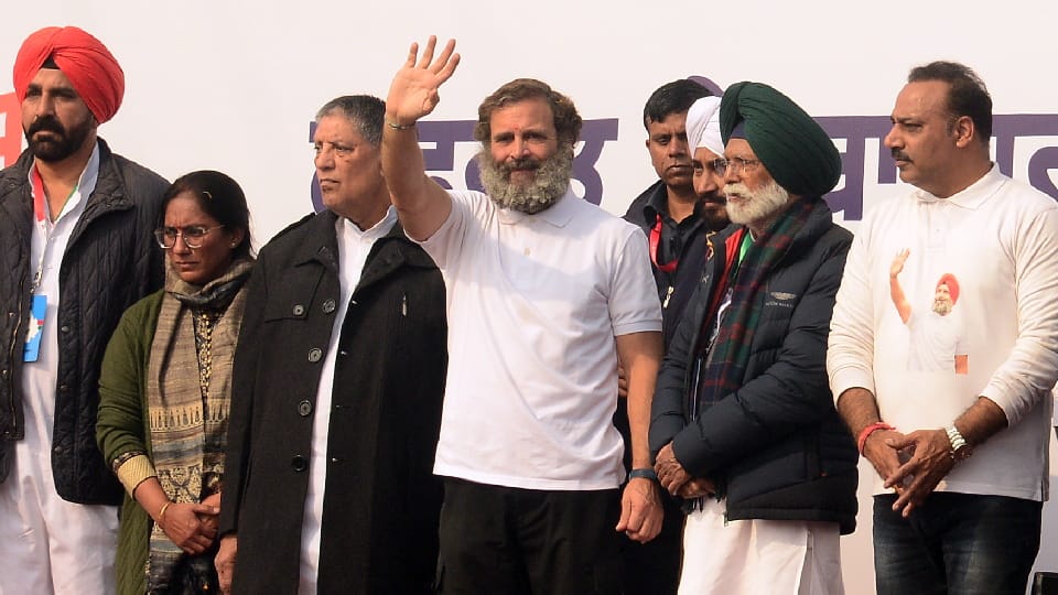 Bharat Jodo Yatra by Rahul Gandhi in Punjab