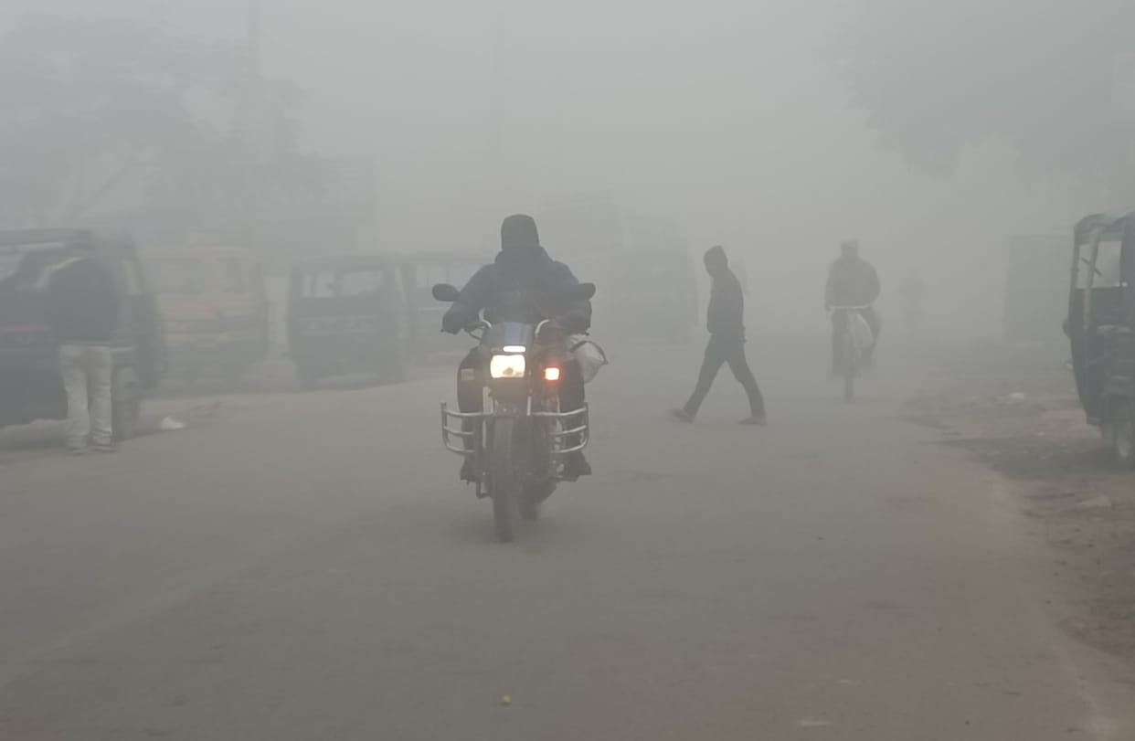 Mercury rises, sunshine comes out, relief from cold