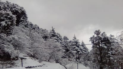 jammu kashmir Weather: Highway closed amid snowfall many flights affected avalanche warning in 10 districts