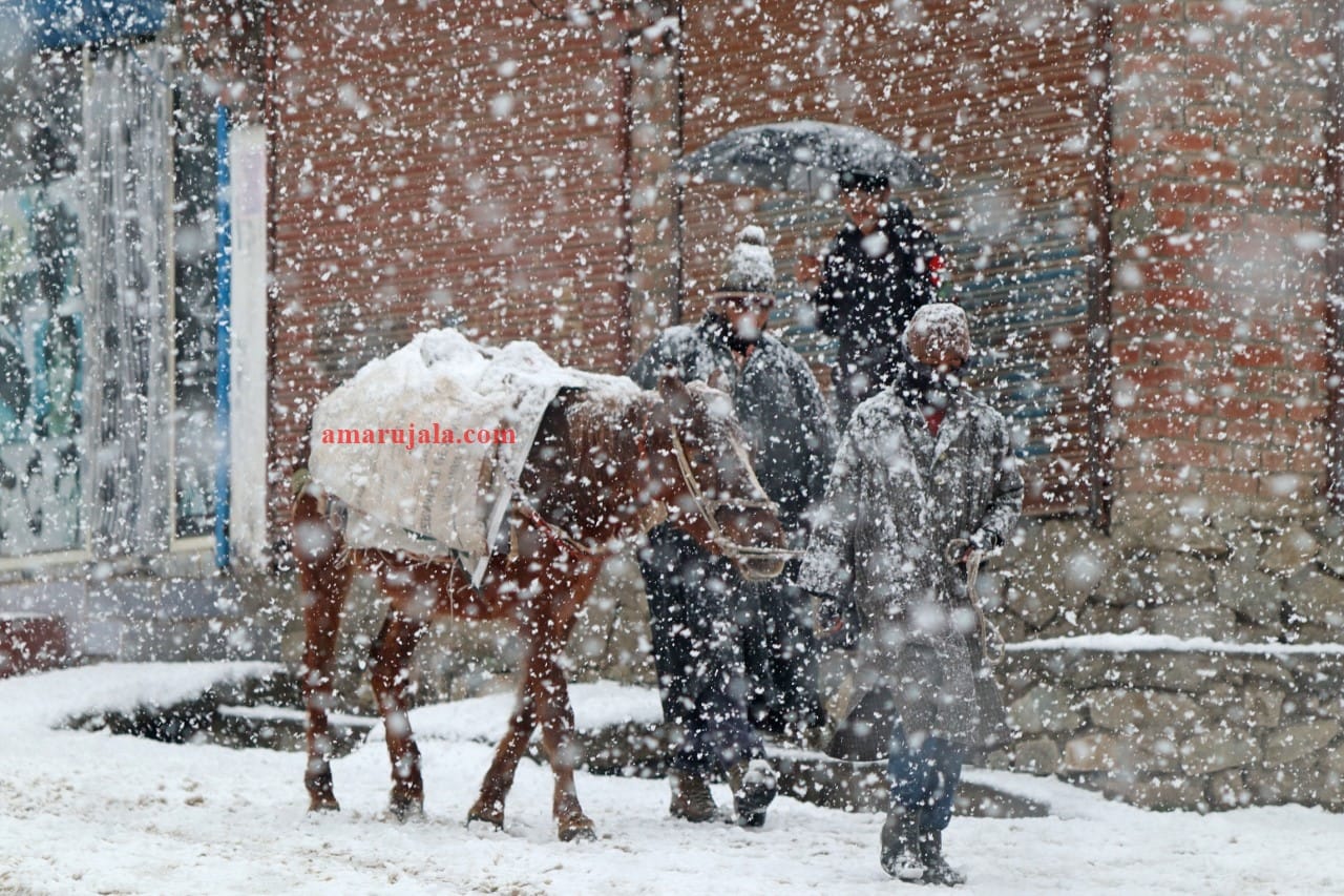 season first snowfall in srinagar photos and jammu kashmir weather news update story