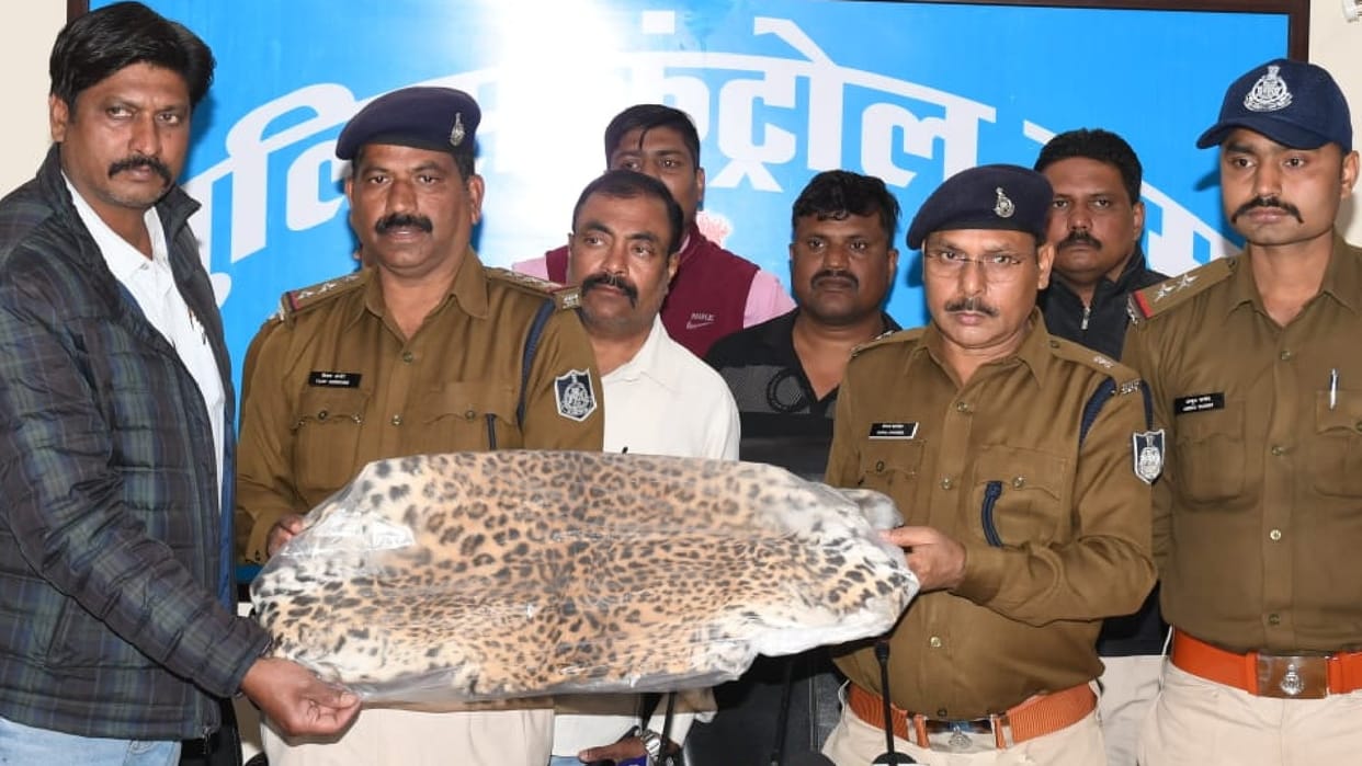 Jabalpur: Three arrested with leopard skin, hunted with a noose
