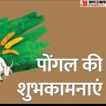 पोंगल 2024