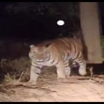 प्रतीकात्मक तस्वीर।