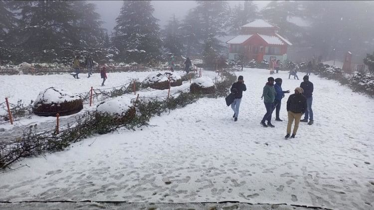 बर्फबारी से दुश्वारियां: हिमाचल में 245 सड़कें अवरुद्ध, 623 बिजली ट्रांसफार्मर ठप, कई क्षेत्रों में ब्लैकआउट snowfall in himachal prdaesh 245 road blocked 623 power transformer disrupted