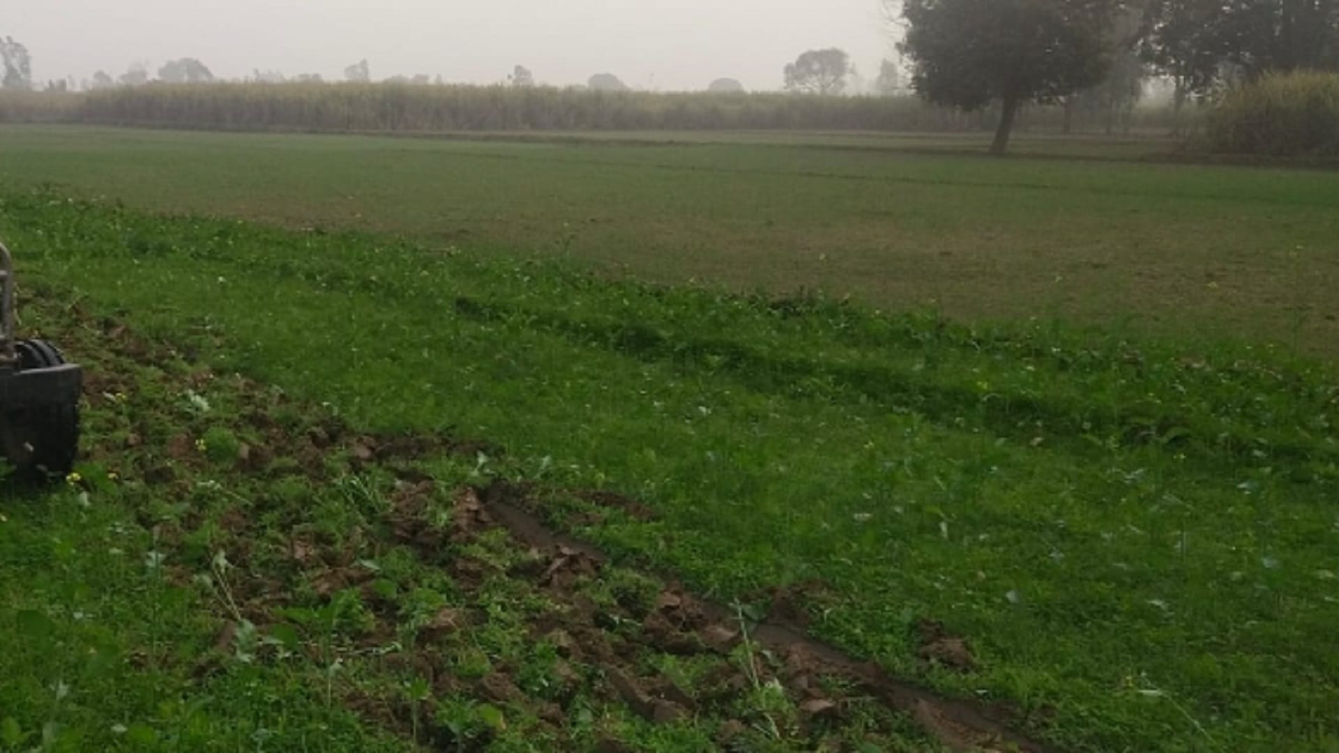 The officers team has freed 25 bighas of land from encroachment in Bijnor