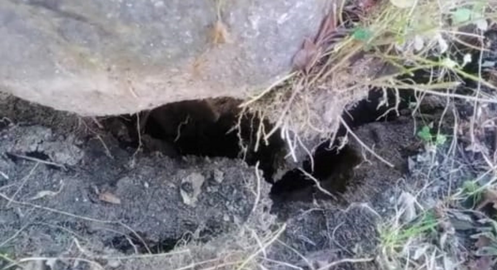 Joshimath Is Sinking Water leakage again increased in JP Colony cracks in many houses people in panic
