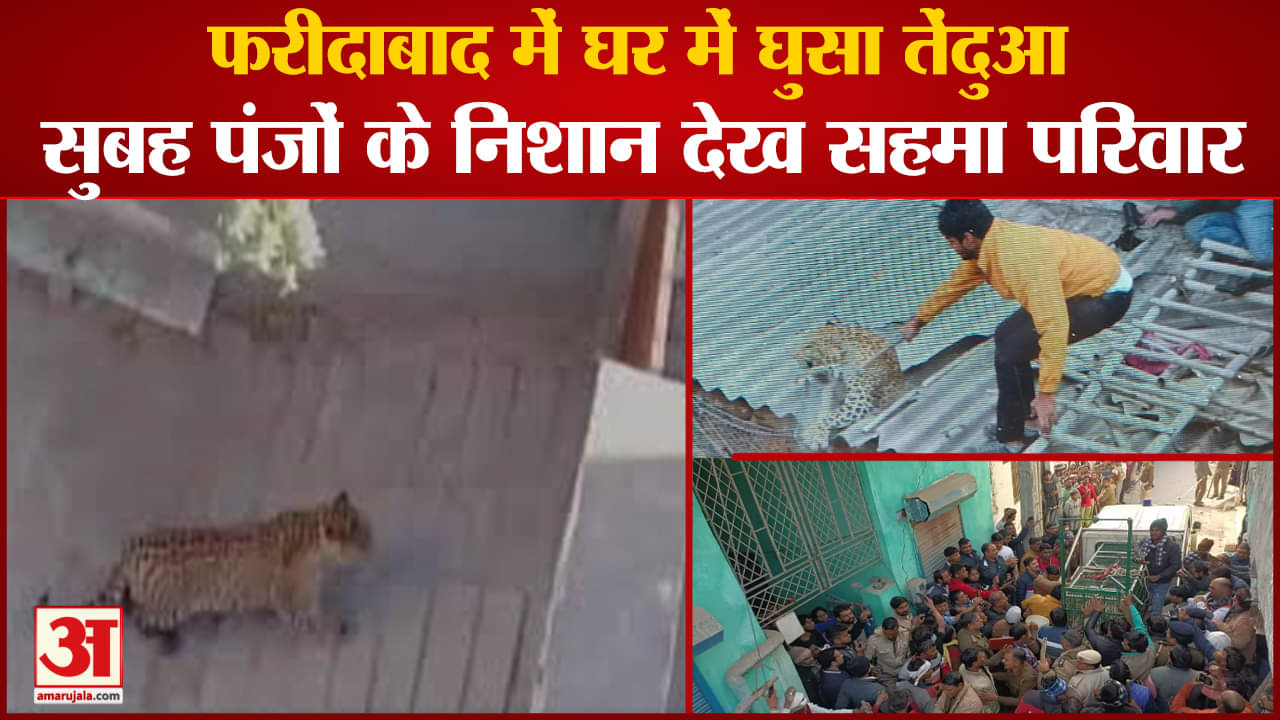 फरीदाबाद