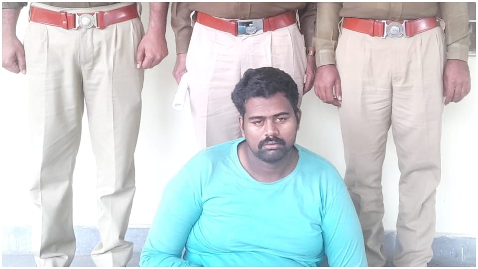 interstate gang stealing by pouring itching powder on people Nagaur police arrested an accused