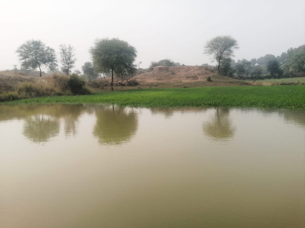 Due to the bursting of the minors track, many bigha crops were drowned in banda