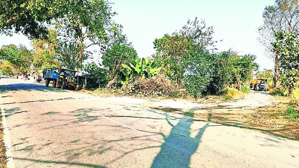Cold wave and dense fog forecast for next five days in Lakhimpur Kheri