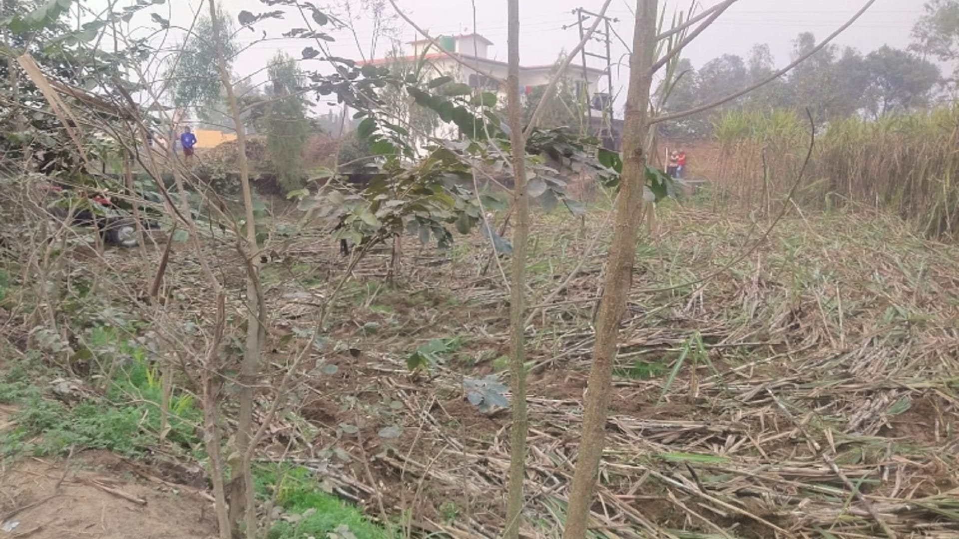 The officers team has freed 25 bighas of land from encroachment in Bijnor