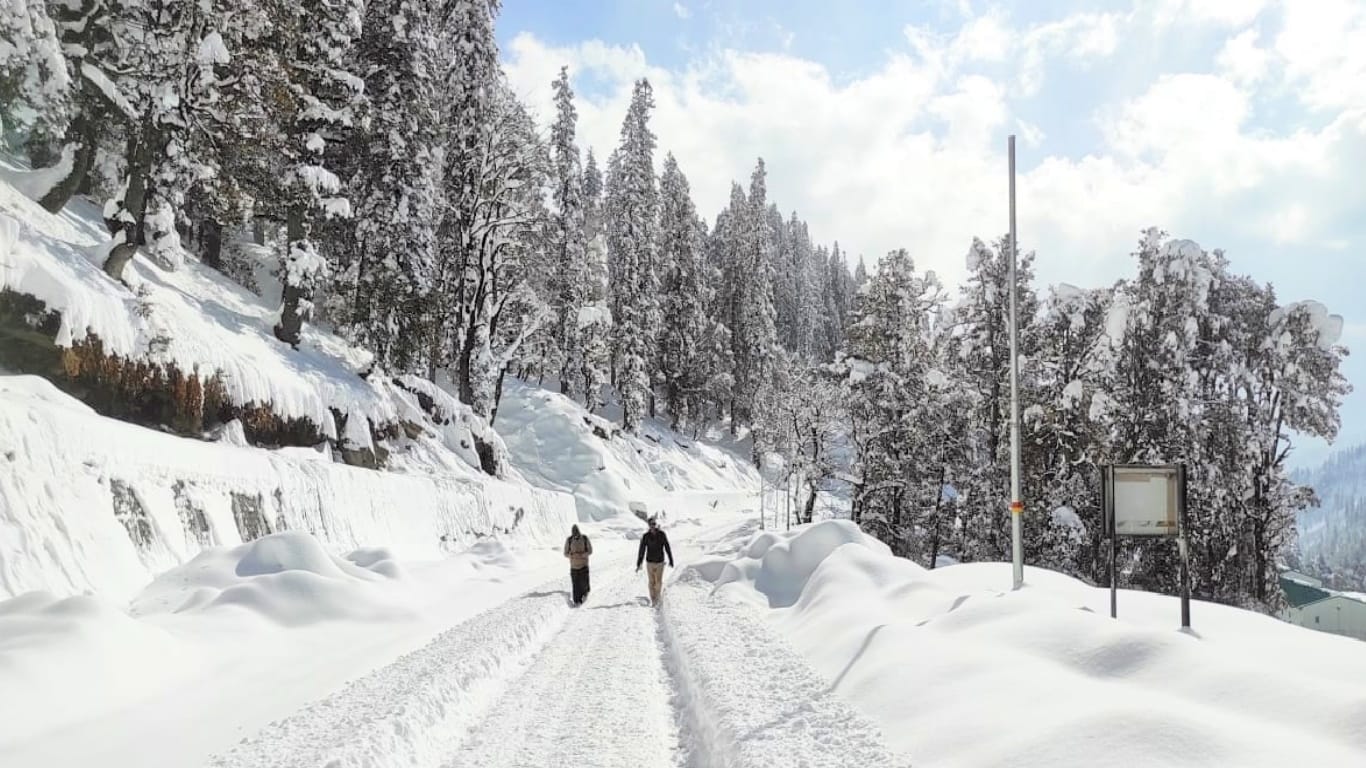 Himachal Weather update, Snowfall in Manali, Narkanda, Kinnaur, 276 roads and 172 transformers closed